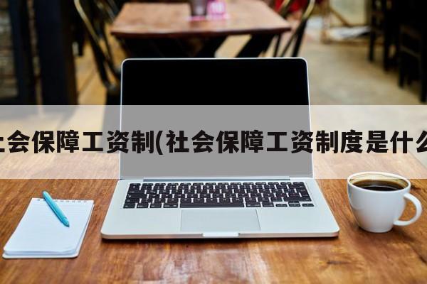 社会保障工资制(社会保障工资制度是什么)