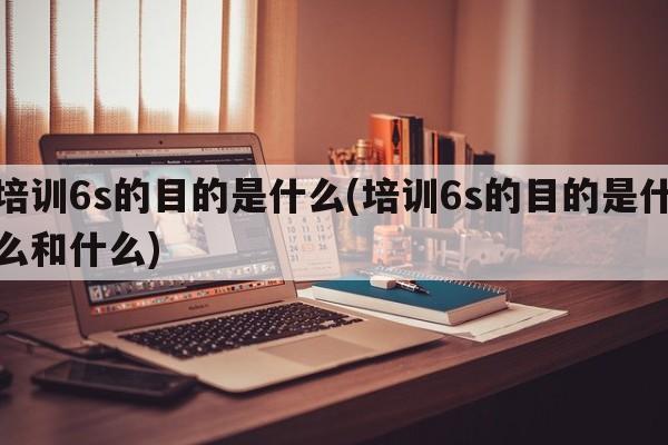 培训6s的目的是什么(培训6s的目的是什么和什么)